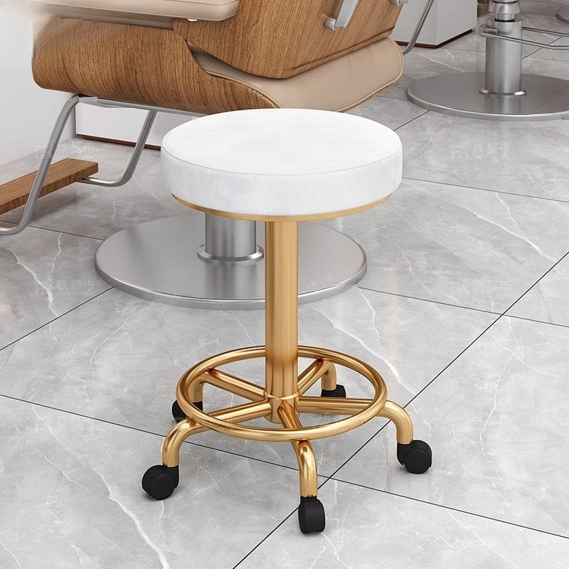 Modern Simple Beauty Stool Pro - Beauty Makeup Chair review and price
